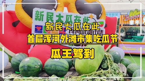 吃瓜大赛宣传语简短,吃瓜大赛,一触即发!